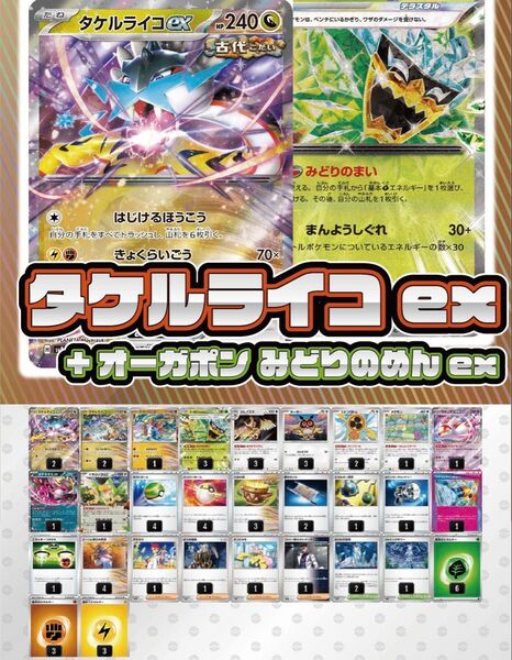 ポケモンカード タケルライコex ポケカ 構築済みデッキ スリーブ付き