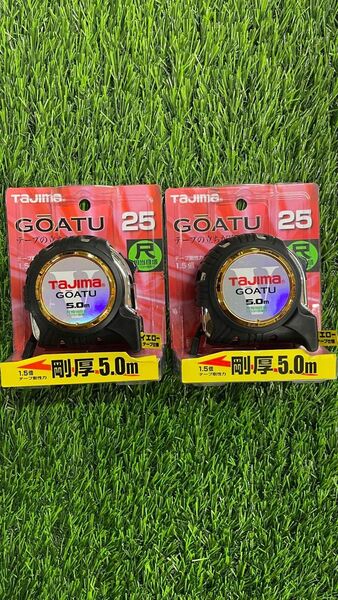 タジマ 剛厚Gロック-25 5.0m 尺相当目盛付 スケール メジャー コンベックス 巻尺 2個セット