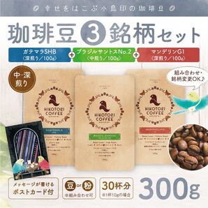 【コーヒー豆100g×3セット】珈琲豆3銘柄セット 自家焙煎 ブラジルNo.2&ガテマラSHB&マンデリンG1