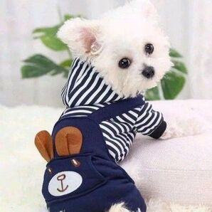 犬服 小型犬 サロペット クマ ヨーキー チワワ パピー 新品未使用 Sサイズ