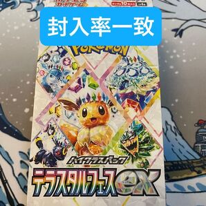 テラスタルフェスex 1BOX分 10パック ハイクラスパック ポケモンカードゲーム