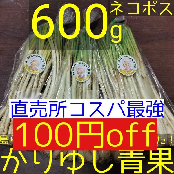 〈直売所コスパ最強〉沖縄県産Kおばーの島らっきょう 約600g【ネコポス】55