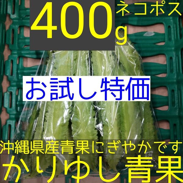 〈お試し特価〉沖縄県産 うりずん豆(琉球四角豆)約400g 【ネコポス】①