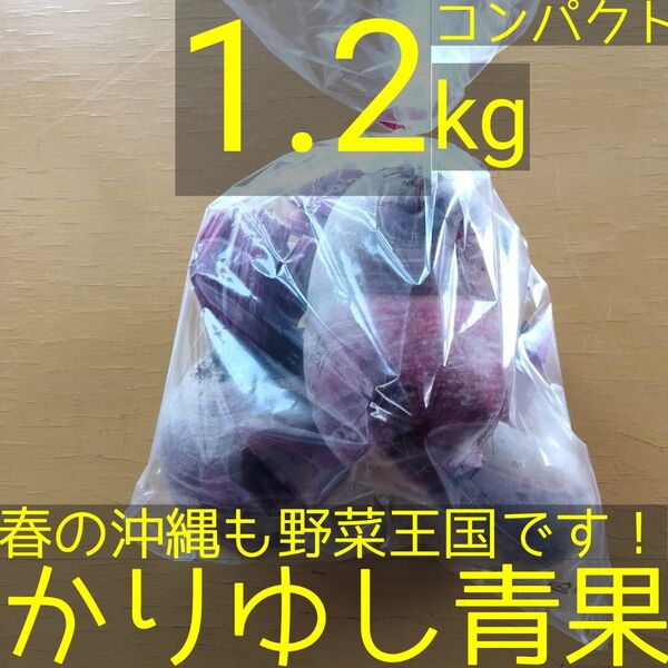 「奇跡の野菜/食べる輸血」沖縄県産 ビーツB品 約1.2kg【コンパクト】⑩