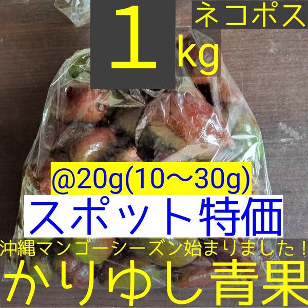 〈スポット特価〉沖縄県産 摘果マンゴー/青マンゴー/グリーンマンゴー@20g(10〜30g)約1kg【ネコポス】⑬