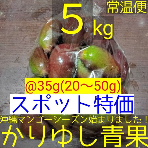 〈スポット特価〉沖縄県産 摘果マンゴー/青マンゴー/グリーンマンゴー@35g(20〜50g)約5kg【常温便】⑥