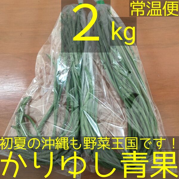 沖縄県産 フーロー豆(十六ささげ)約2kg 【常温便】①