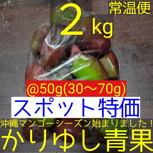 〈スポット特価〉沖縄県産 摘果マンゴー/青マンゴー@50g(30〜70g)約2kg【常温便】④
