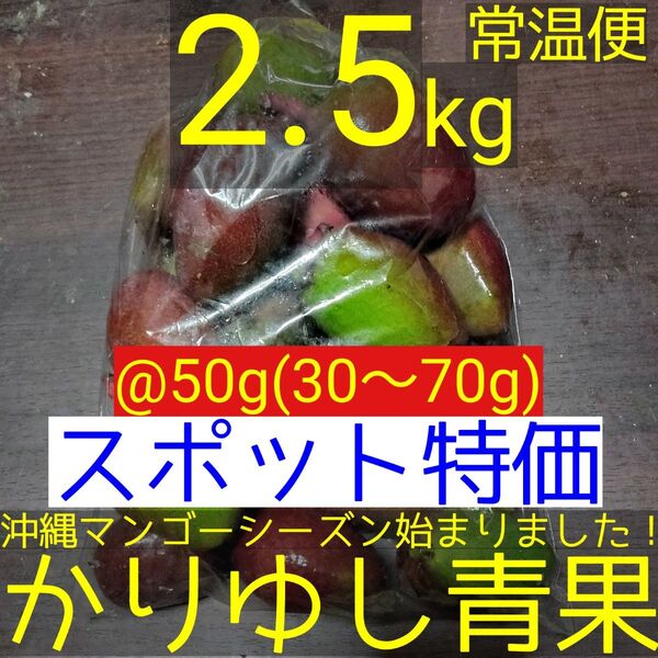 〈スポット特価〉沖縄県産 摘果マンゴー/青マンゴー@50g(30〜70g)約2.5kg【常温便】②