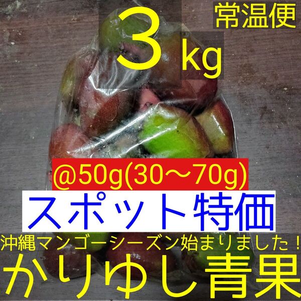 〈スポット特価〉沖縄県産 摘果マンゴー/青マンゴー@50g(30〜70g)約3kg【常温便】⑦
