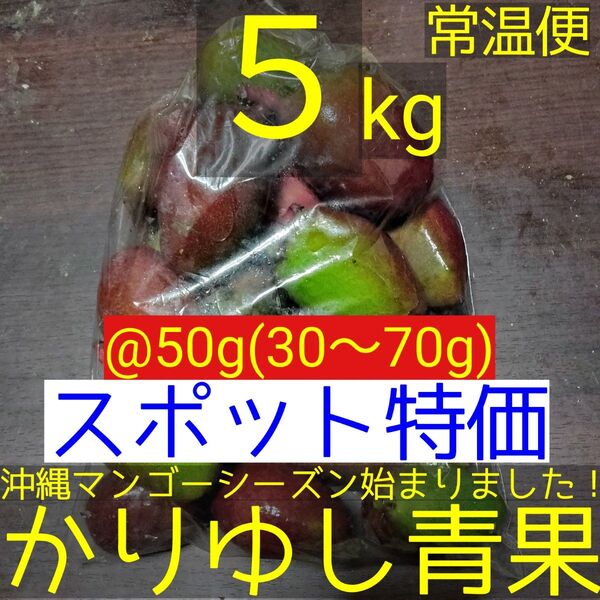 〈スポット特価〉沖縄県産 摘果マンゴー/青マンゴー@50g(30〜70g)約5kg【常温便】②