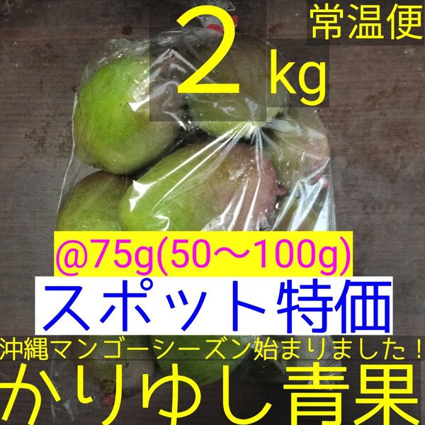 〈スポット特価〉沖縄県産 摘果マンゴー/青マンゴー/グリーンマンゴー@75g(50〜100g)約2kg【常温便】②