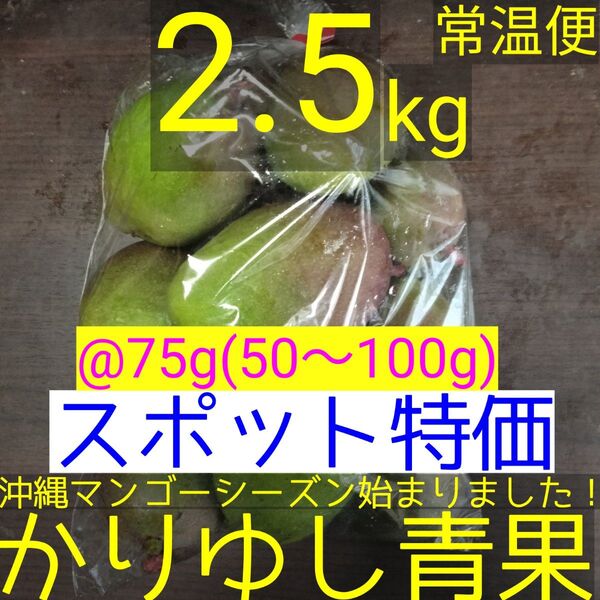 〈スポット特価〉沖縄県産 摘果マンゴー/青マンゴー/グリーンマンゴー@75g(50〜100g)約2.5kg【常温便】③