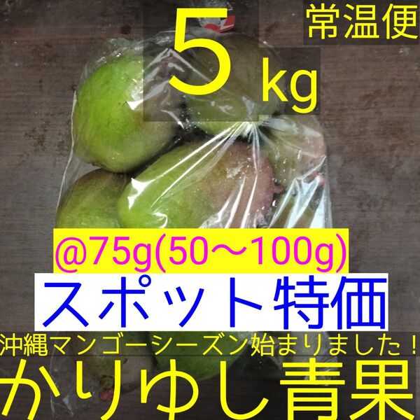〈スポット特価〉沖縄県産 摘果マンゴー/青マンゴー/グリーンマンゴー@75g(50〜100g)約5kg【常温便】②