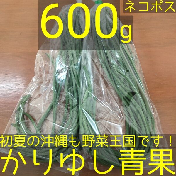 沖縄県産 フーロー豆(十六ささげ)約600g 【ネコポス】②