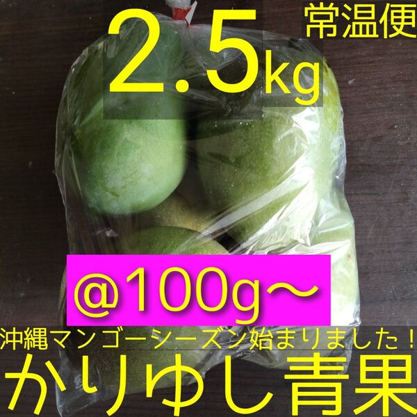 沖縄県産 摘果マンゴー/青マンゴー/グリーンマンゴー@100g〜約2.5kg【常温便】①