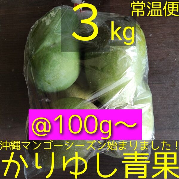 沖縄県産 摘果マンゴー/青マンゴー/グリーンマンゴー@100g〜約3kg【常温便】①