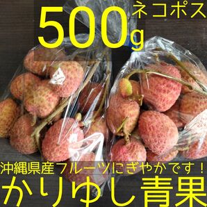 沖縄県産 生ライチ(レイシ)B品 約500g【ネコポス便】①