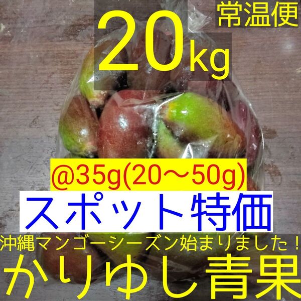 〈スポット特価〉沖縄県産 摘果マンゴー/青マンゴー@35g(20〜50g)約20kg【常温便】②