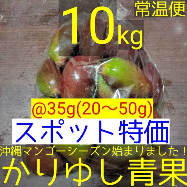 〈スポット特価〉沖縄県産 摘果マンゴー/青マンゴー@35g(20〜50g)約10kg【常温便】⑦