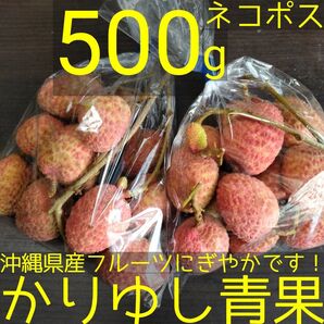 沖縄県産 生ライチ(レイシ)B品 約500g【ネコポス便】⑤