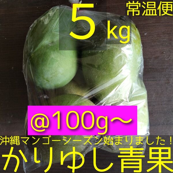 沖縄県産 摘果マンゴー/青マンゴー/グリーンマンゴー@100g〜約5kg【常温便】②