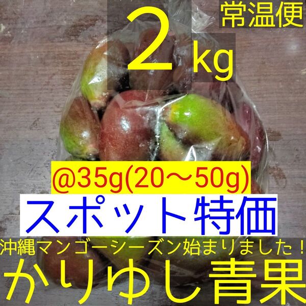 〈スポット特価〉沖縄県産 摘果マンゴー/青マンゴー/グリーンマンゴー@35g(20〜50g)約2kg【常温便】⑳