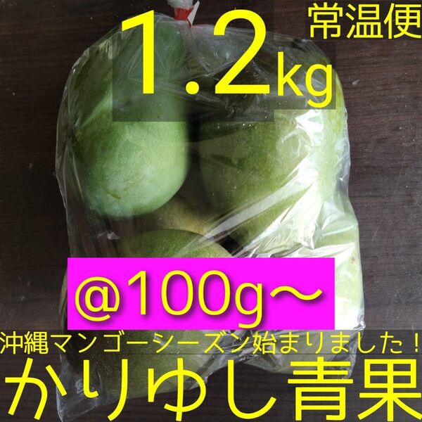 沖縄県産 摘果マンゴー/青マンゴー/グリーンマンゴー@100g〜約1.2kg【コンパクト便】②