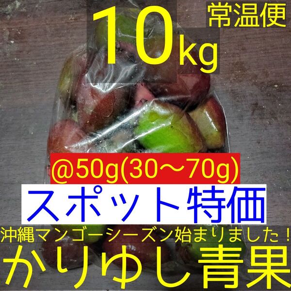 〈スポット特価〉沖縄県産 摘果マンゴー/青マンゴー@50g(30〜70g)約10kg【常温便】②