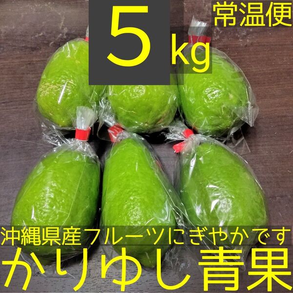 沖縄県産 パキスタンレモン(香水レモン)B品 約5kg【常温便】①