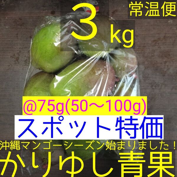 〈スポット特価〉沖縄県産 摘果マンゴー/青マンゴー/グリーンマンゴー@75g(50〜100g)約3kg【常温便】②