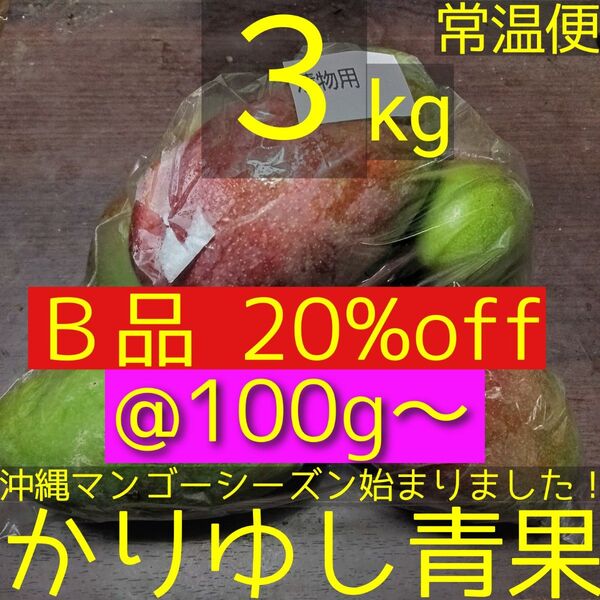 【20%off】沖縄県産 摘果マンゴー/青マンゴー/グリーンマンゴーB品@100g〜約3kg【常温便】①