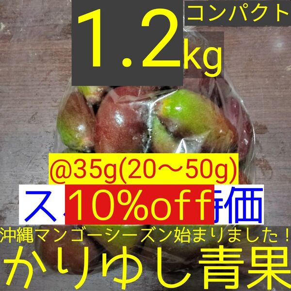 【10%off】沖縄県産 摘果マンゴー/青マンゴー@35g(20〜50g)約1.2kg【コンパクト便】⑲