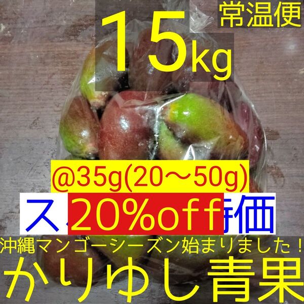 【20%off】沖縄県産 摘果マンゴー/青マンゴー/グリーンマンゴー@35g(20〜50g)約15kg【常温便】②