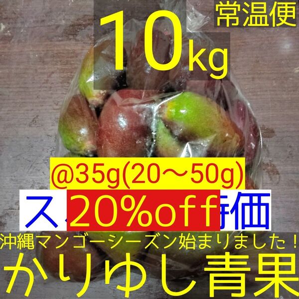 【20%off】沖縄県産 摘果マンゴー/青マンゴー/グリーンマンゴー@35g(20〜50g)約10kg【常温便】⑤