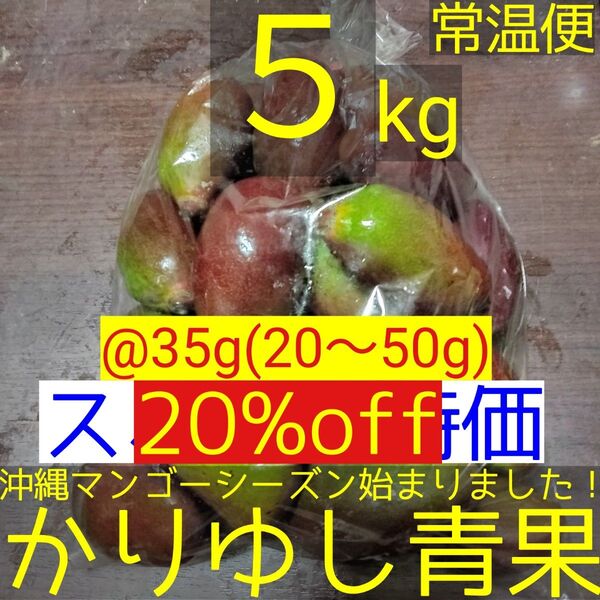 【20%off】沖縄県産 摘果マンゴー/青マンゴー/グリーンマンゴー@35g(20〜50g)約5kg【常温便】⑥