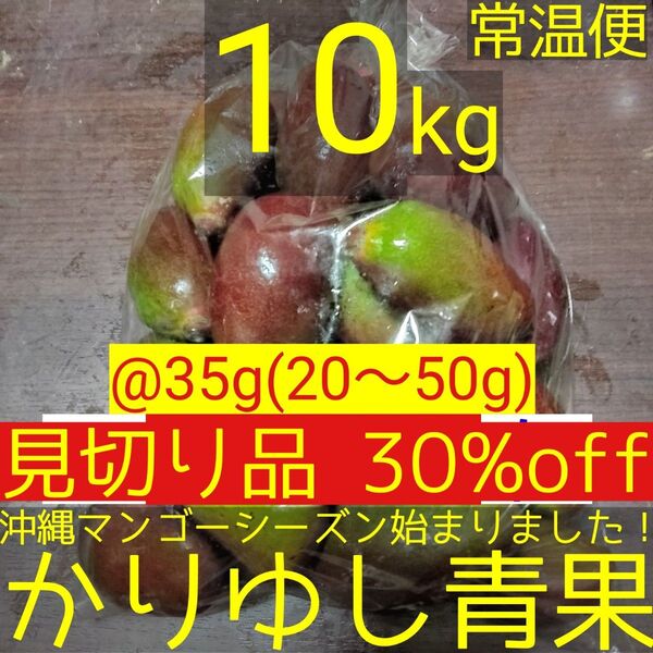〈見切り品 30%off〉沖縄県産 摘果マンゴー/青マンゴー/グリーンマンゴー@35g(20〜50g)約10kg【常温便】①