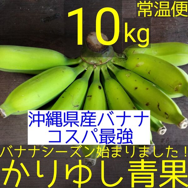 〈沖縄県産バナナコスパ最強〉沖縄県産 ブラジル種バナナB品 約10kg【常温便】①