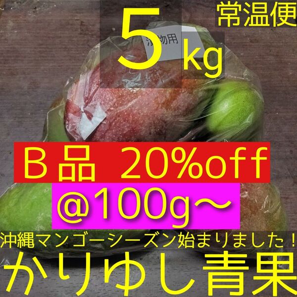 【20%off】沖縄県産 摘果マンゴー/青マンゴー/グリーンマンゴーB品@100g〜約5kg【常温便】②
