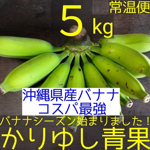 〈沖縄県産バナナコスパ最強〉沖縄県産 ブラジル種バナナB品 約5kg【常温便】②
