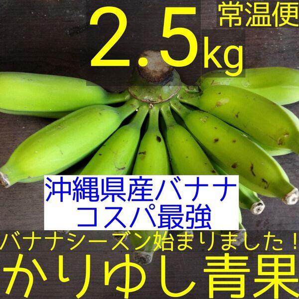 〈沖縄県産バナナコスパ最強〉沖縄県産 ブラジル種バナナB品 約2.5kg【常温便】②