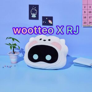 BTS Cushion Doll wootteo X RJ クッション sowoozoo