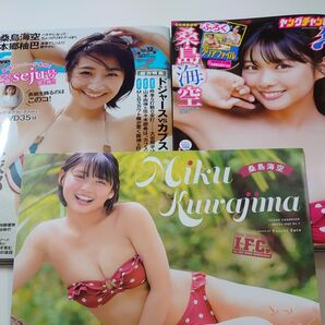 桑島空海 榎原依那 プレイボーイヤングチャンピオン烈 本郷柚巴 クリアファイル DVD付き