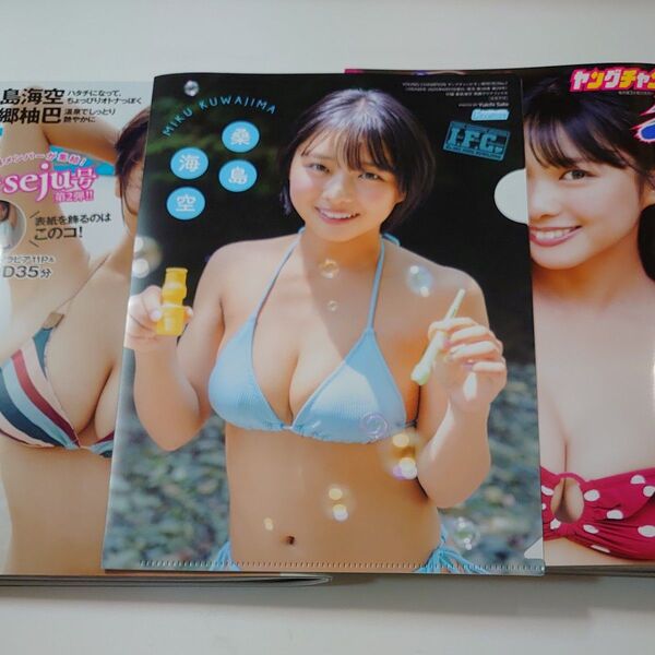 桑島空海 ヤングチャンピオン烈 プレイボーイ 榎原依那 本郷柚巴 DVD クリアファイル付き