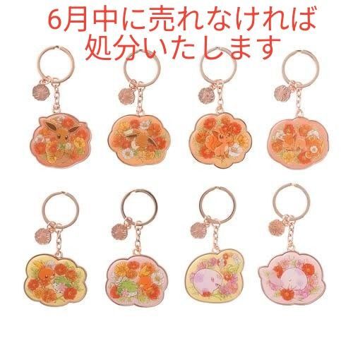 ポケモン メタルキーリングコレクション イーブイ