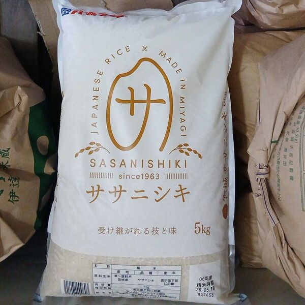 希少 ササニシキ 10kg 5kg×2袋 白米 宮城県 令和6年産 令和7年5月上旬精米 全国送料無料