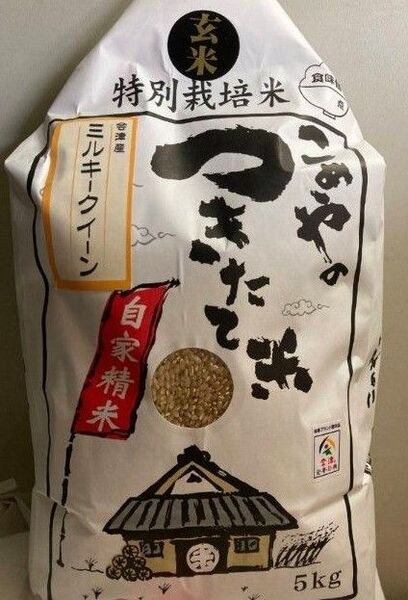 特別栽培米 会津産 ミルキークイーン 玄米 10kg (5kg×2) 令和6年産