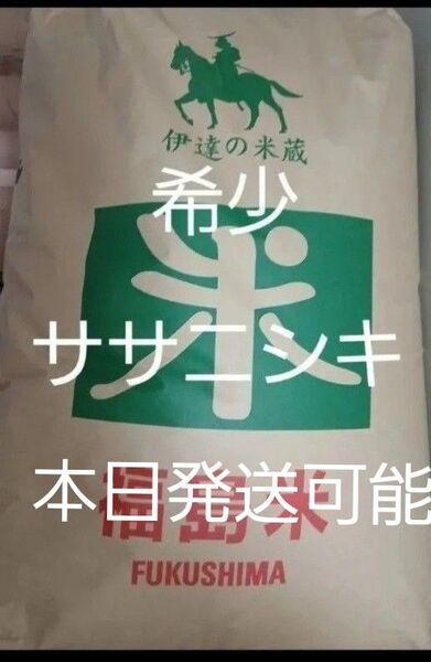 伊達市産 ササニシキ 玄米 一等米 30kg 令和6年産 冷蔵保存