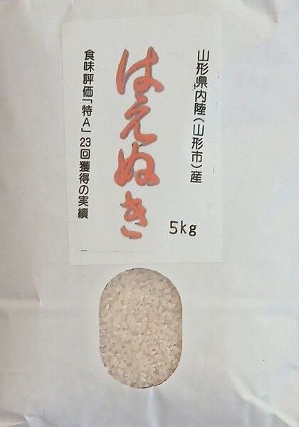 はえぬき 特A 白米 10kg(5g×2) 山形県産 令和6年産 令和7年5月10日精米