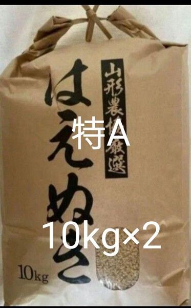 特A 山形県 はえぬき 玄米 20kg(10kg×2) 令和6年産